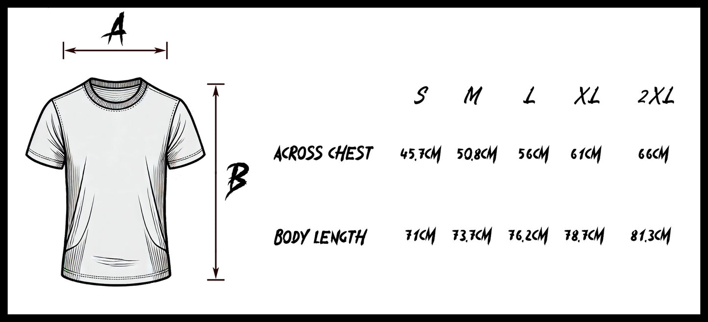 DON'T DRINK AND FLY TEE